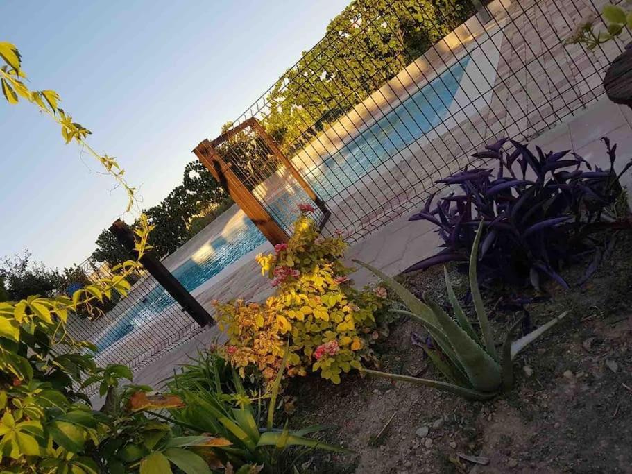 Casa Rural Alma Totanés Extérieur photo